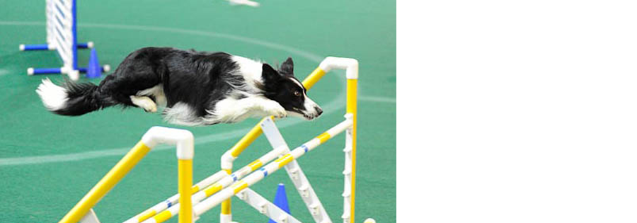 Agility