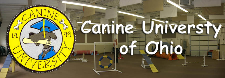 The Facility w/ logo